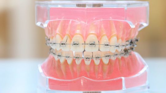 札幌市西区の歯医者 おさないファミリー歯科